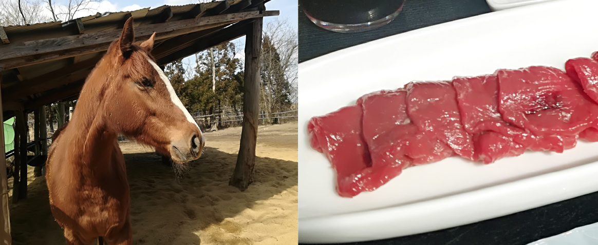 ジャーキー【プレミアム】 秋田三種町産 桜田馬肉