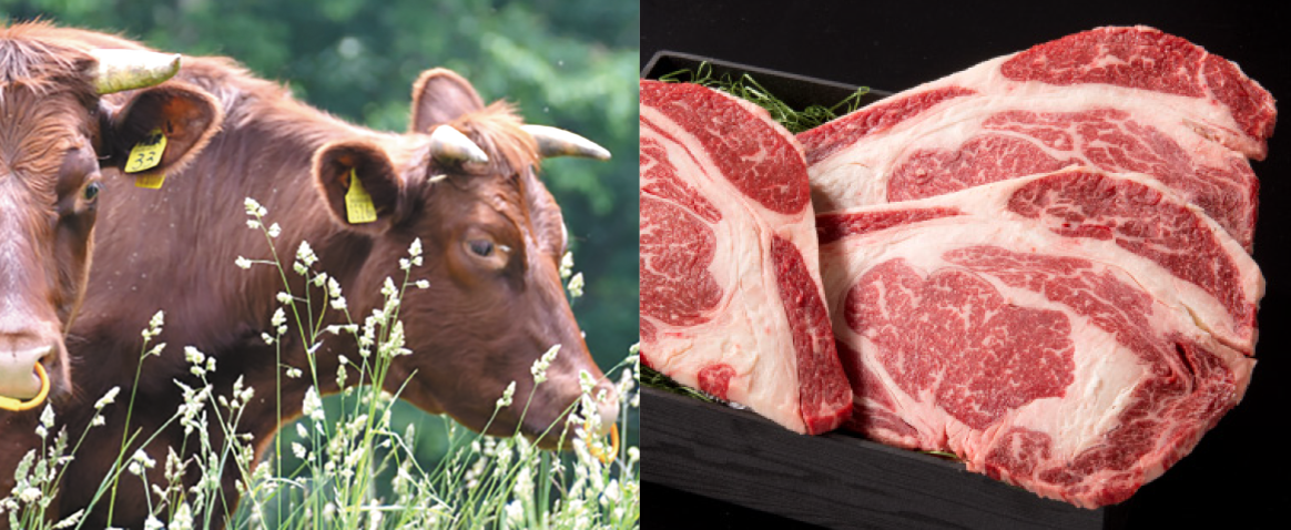 ジャーキー【プレミアム】 短角牛肉 なるせ赤べこ